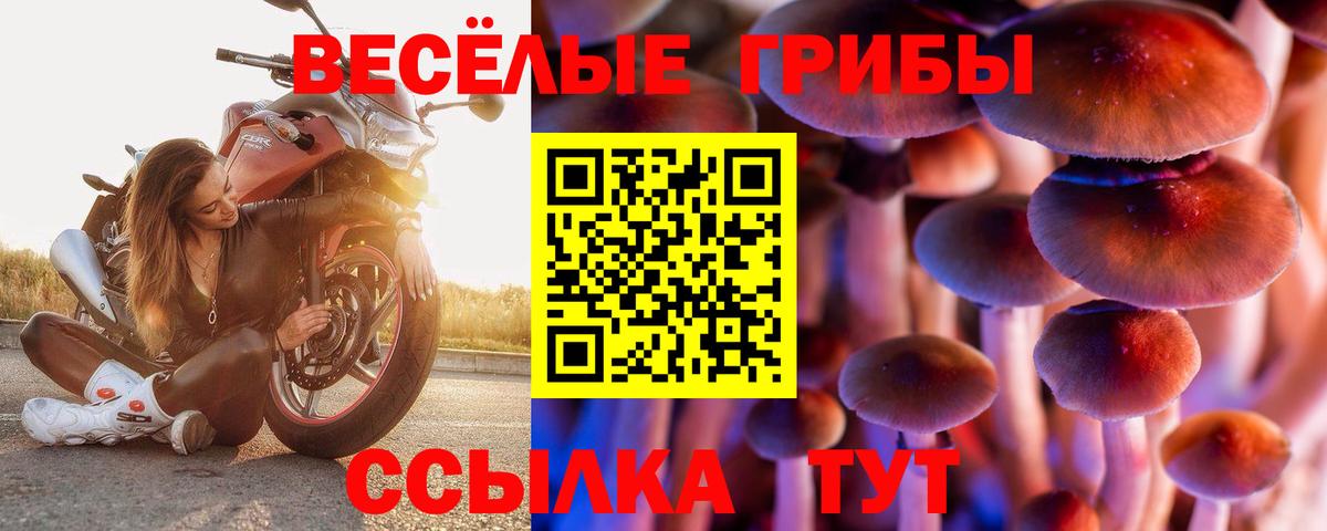 Казань  Псилоцибиновые грибы Magic Shrooms  Вход с VPN 