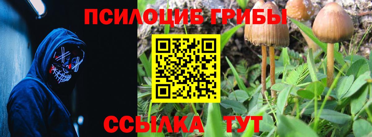 Галлюциногенные грибы Cubensis Казань